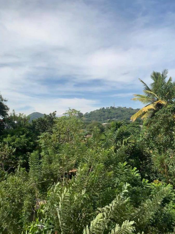 Sura Homestay Kandy Dış mekan fotoğraf