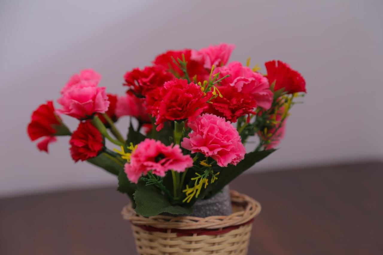 Sura Homestay Kandy Dış mekan fotoğraf